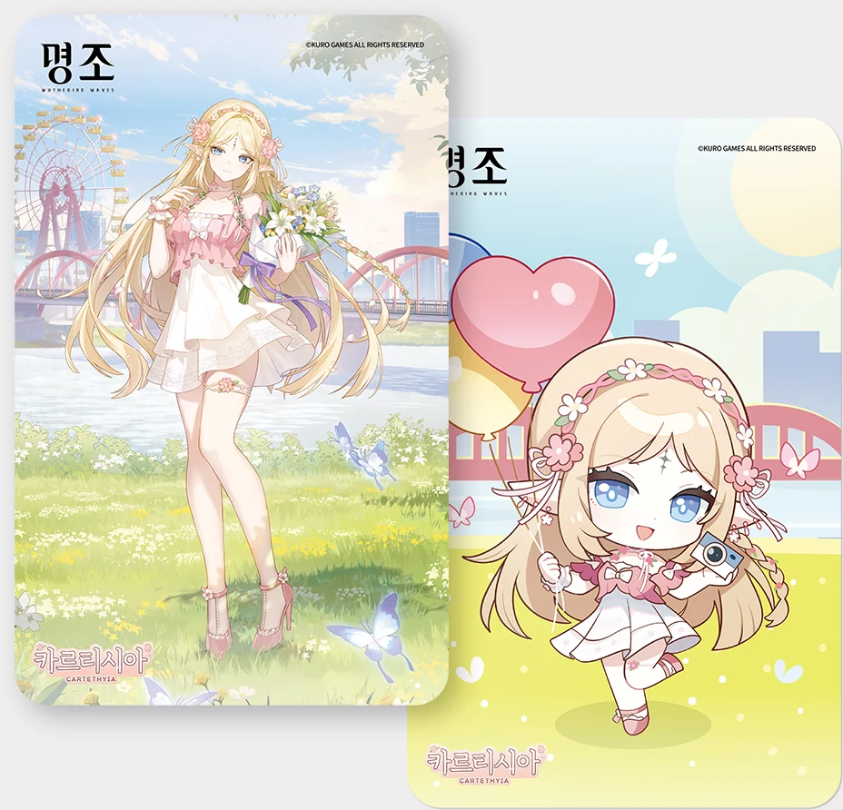 카르티시아 PVC 카드